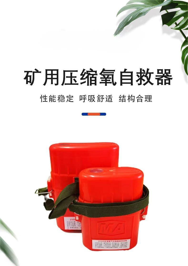 恒泰ZYX30隔绝式压缩氧气呼吸器1