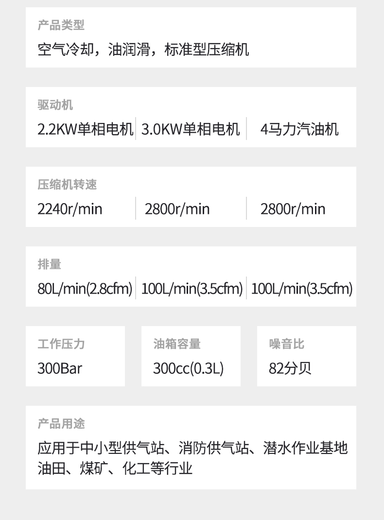 恒泰K100-30空气充填泵10